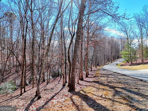 0 Rome Beauty Ln, Clarkesville, GA, 30523 | Card Image