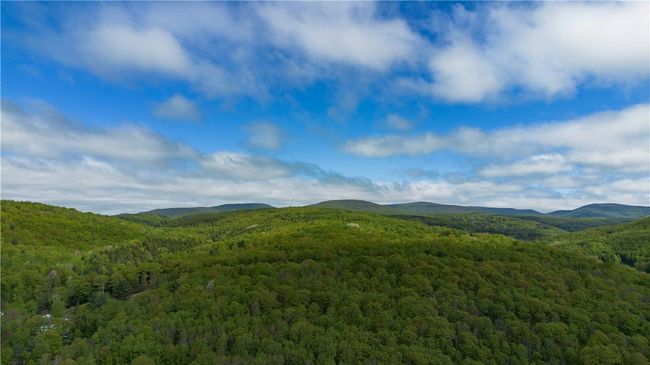36 Pinetree Ln, House other with 4 bedrooms, 2 bathrooms and null parking in Fleischmanns NY | Image 40