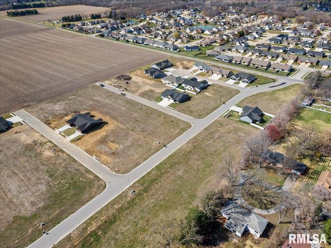 4614 Tess Dr, Home with 0 bedrooms, 0 bathrooms and null parking in Springfield IL | Image 4