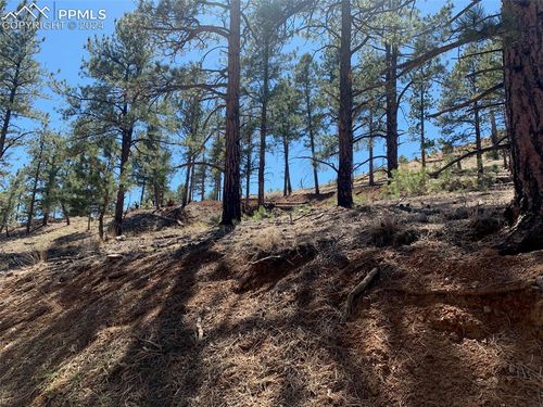 15421 Westcreek Rd, Woodland Park, CO, 80863-6868 | Card Image
