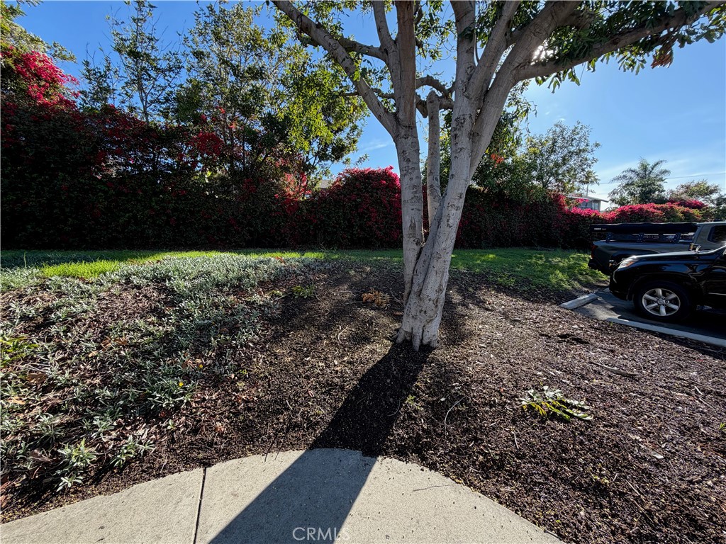 Land in Vista