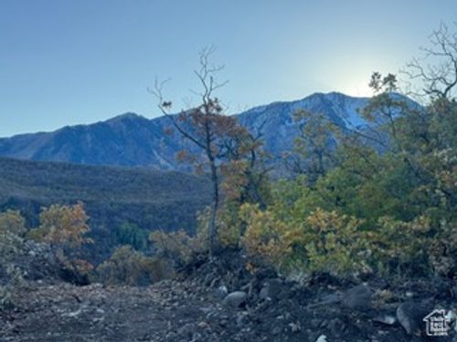 10-10 E Spring Mountain Dr, Springville, UT, 84663 | Card Image