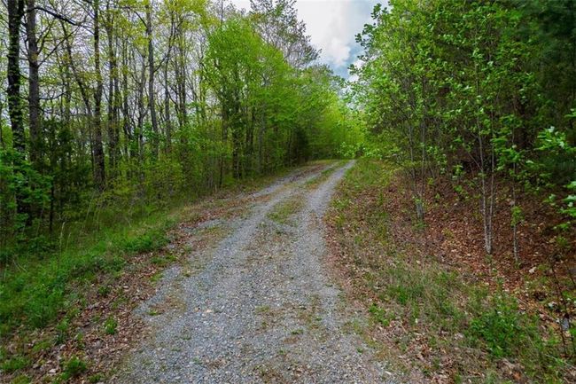 91 - 43 Old Burnt Mountain Rd, Home with 0 bedrooms, 0 bathrooms and null parking in Ellijay GA | Image 9
