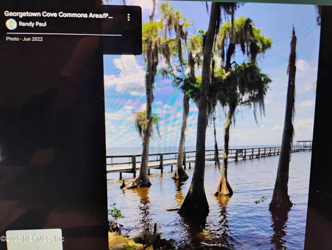 228 Atkins Rd, Home with 0 bedrooms, 0 bathrooms and null parking in Georgetown FL | Image 20