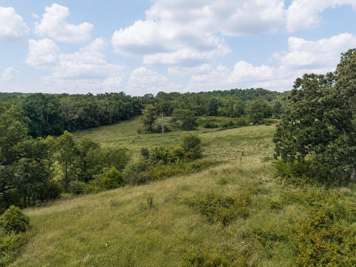 Land in Hartville 3