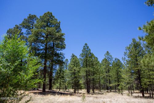 5330 N Nordica Loop, Flagstaff, AZ, 86004-5849 | Card Image