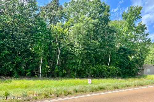  Lot 1 Highway 24, Centreville, MS, 39631 | Card Image