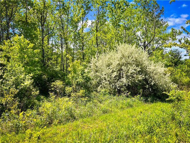 200 Straw Hill Rd, Home with 0 bedrooms, 0 bathrooms and null parking in Barton NY | Image 24