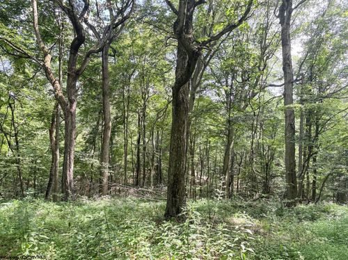 TBD Scenery Hill Rd, Wellsburg, WV, 26070 | Card Image