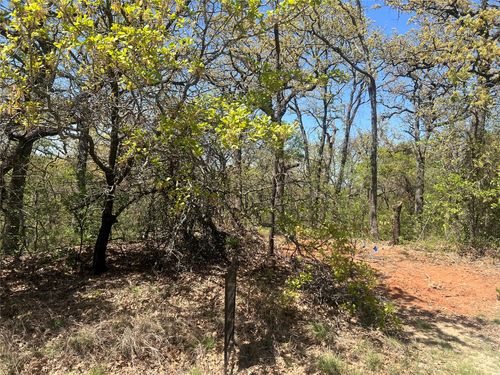 1000 Crazy Horse Trl, Burleson, TX, 76028 | Card Image