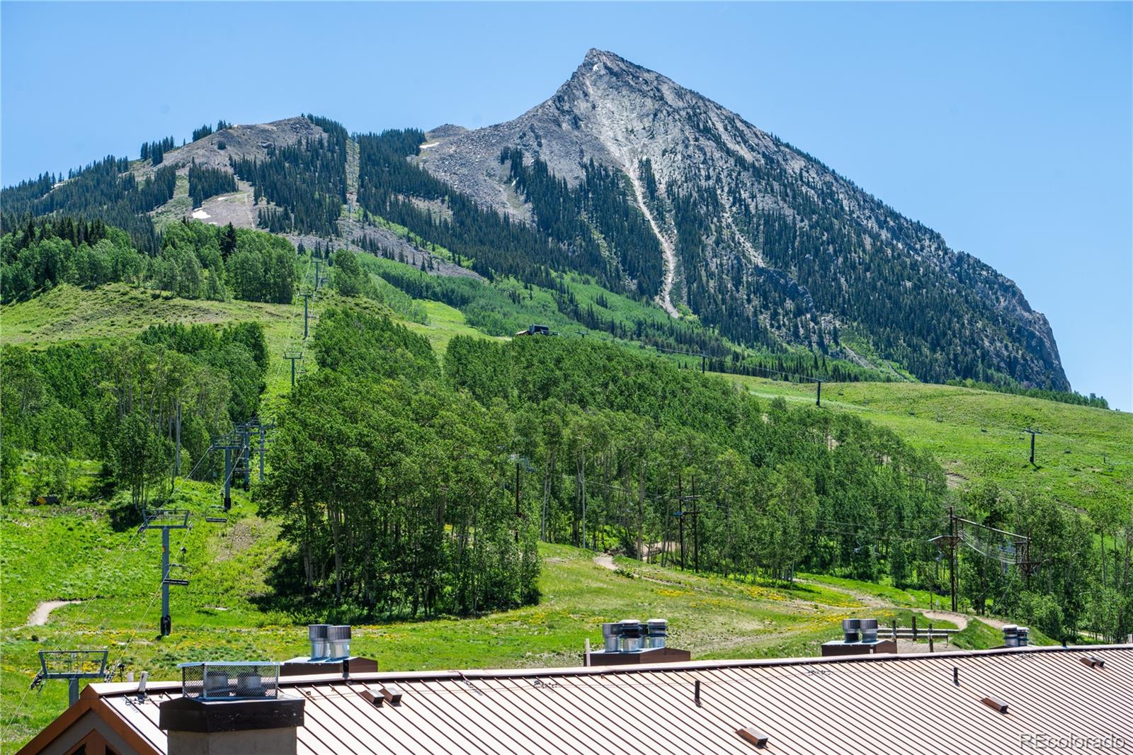 Residential in Mt Crested Butte 4