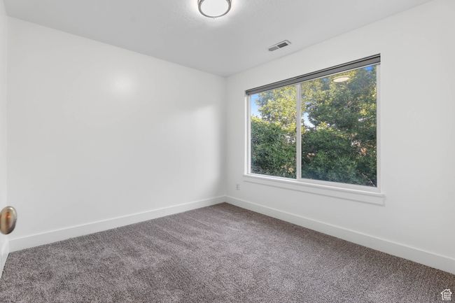 New Carpet | Image 33