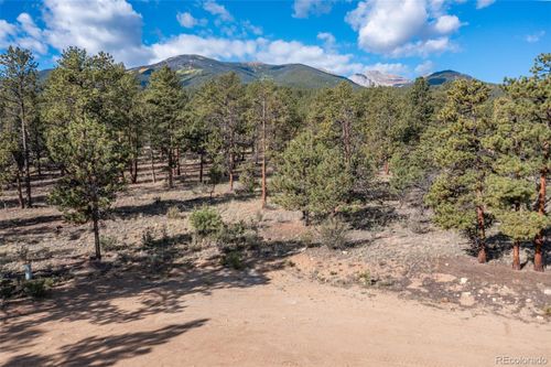 30664 Gray Jay Draw, Buena Vista, CO, 81211-8739 | Card Image