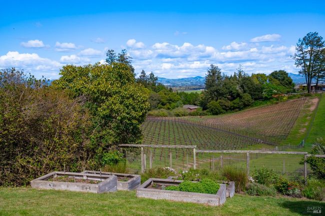 2614 Scotts Right Of Way, House other with 4 bedrooms, 4 bathrooms and 10 parking in Sebastopol CA | Image 79