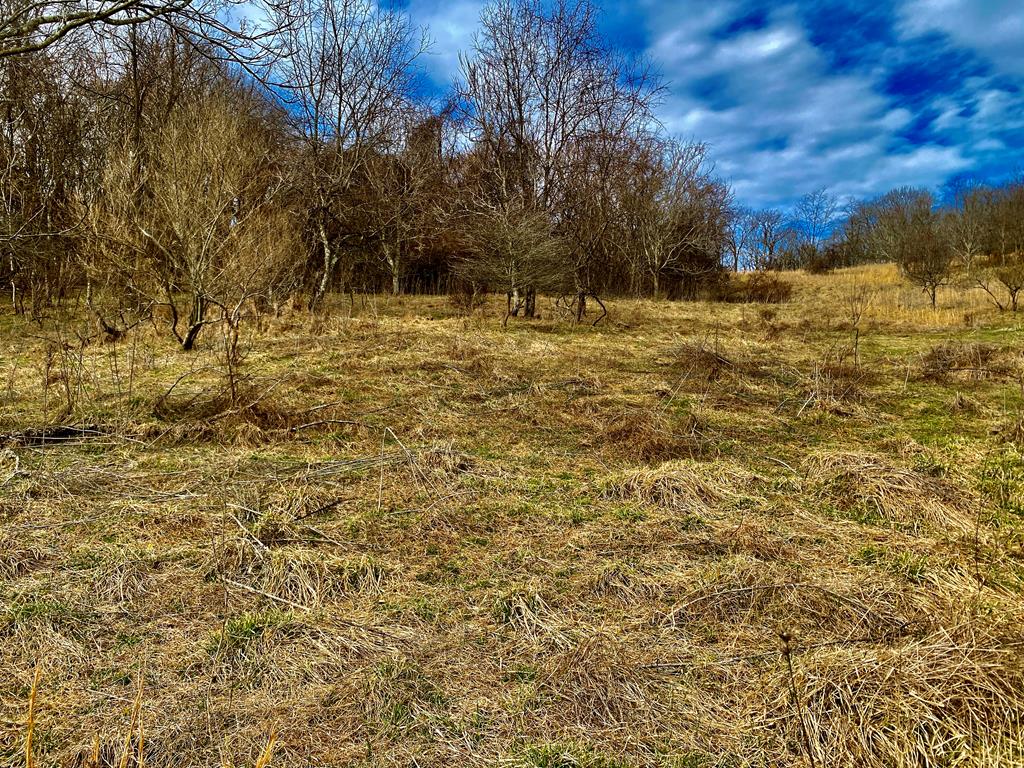 Land in Marion 5