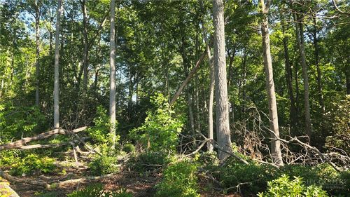 Lot 122 Pine Tree Drive, Spruce Pine, NC, 28777 | Card Image