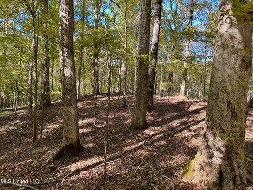 Tbd County Road 493, Oxford, MS, 38655 | Card Image