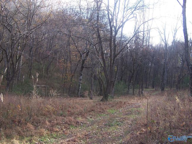 2176 Columbia Hwy, Home with 0 bedrooms, 0 bathrooms and null parking in Pulaski TN | Image 11