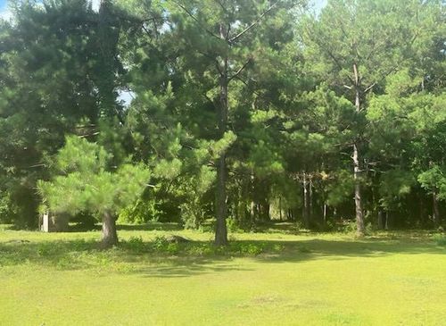 0 County Road 4067, Bon Wier, TX, 75928 | Card Image