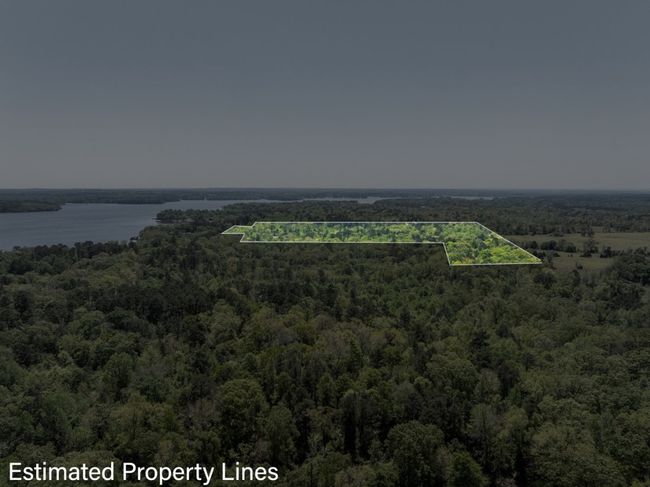 Drone / aerial view featuring a view of trees and a water view | Image 5