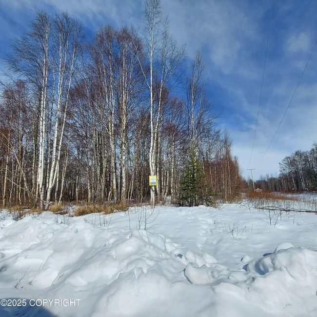 Lot 1 | Image 6