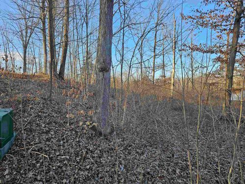 v/l Oak Lane, Hill Township, MI, 48739 | Card Image