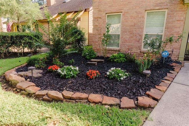 Front Landscape | Image 4