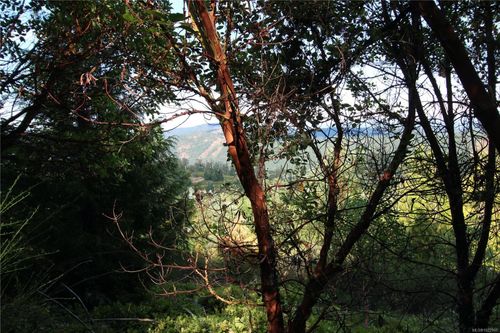 29 Goldstream Heights Dr, Shawnigan Lake, BC, V0R | Card Image