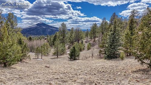 336 May Queen Dr, Cripple Creek, CO, 80813-9535 | Card Image