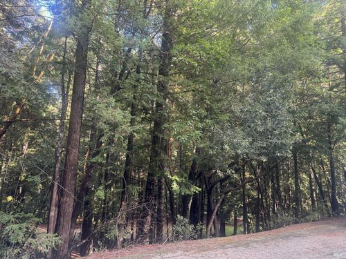 25195 Bluejay Ln, Willits, CA, 95490-8914 | Card Image