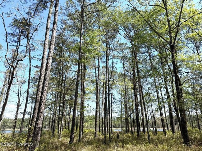 18 Davis Ln, Home with 0 bedrooms, 0 bathrooms and null parking in Belhaven NC | Image 13