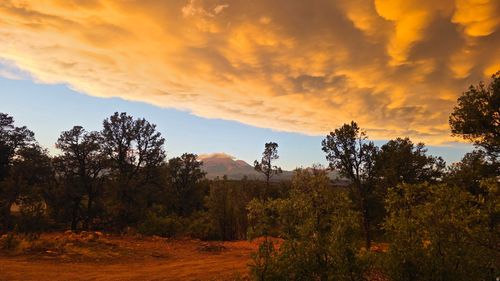 10-95 S Wray Mesa Rd, La Sal, UT, 84530-7756 | Card Image