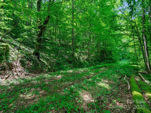 lots-37-42-#3 TBD Lotties Creek Road, Burnsville, NC, 28714 | Card Image