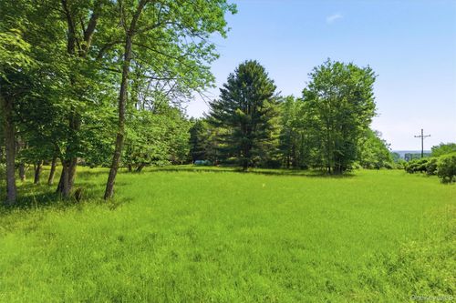 TBD Britman Road, Bethel, NY, 12720 | Card Image