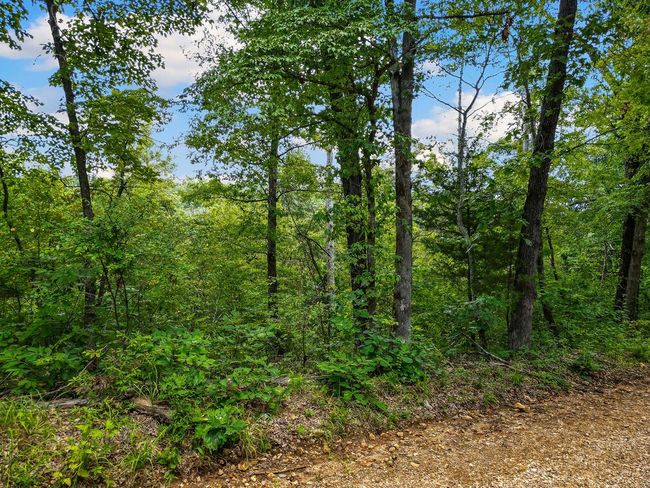 1106 Boone Hollow Rd, Home with 0 bedrooms, 0 bathrooms and null parking in Powell MO | Image 17