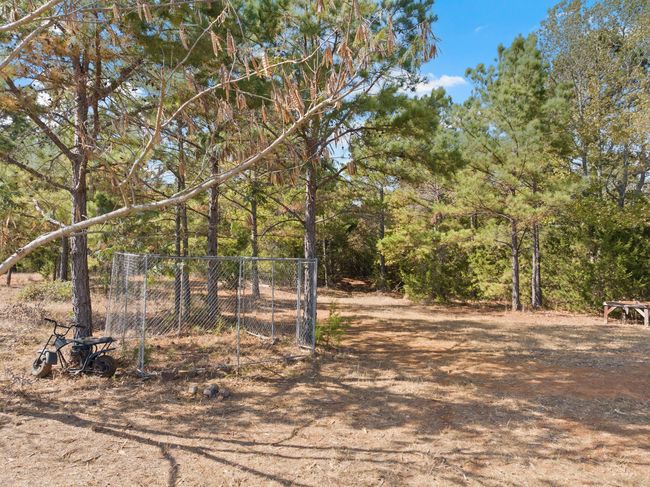 View of yard | Image 27