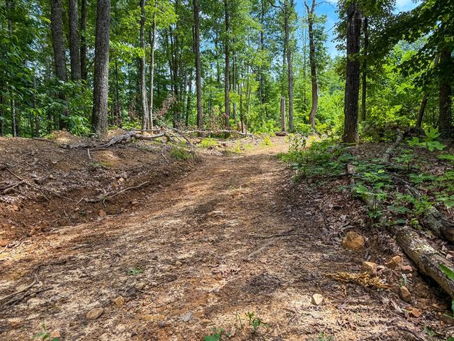 2486 Laurel Fork Rd, Home with 0 bedrooms, 0 bathrooms and null parking in Rocky Gap VA | Image 34
