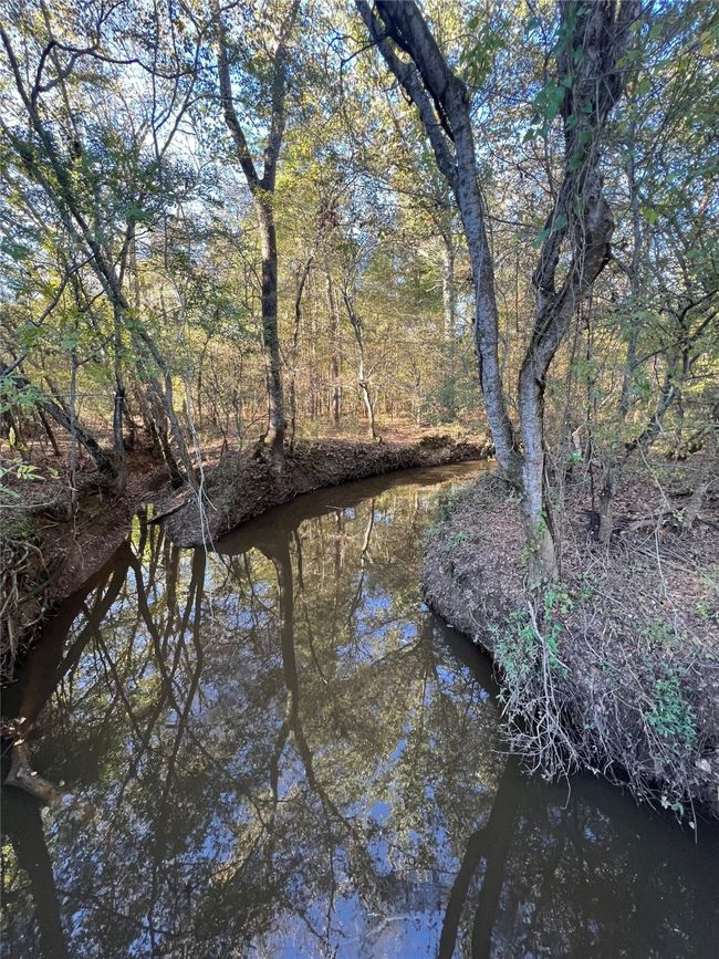 00 County Road 3206 W, Home with 0 bedrooms, 0 bathrooms and null parking in Mount Enterprise TX | Image 13
