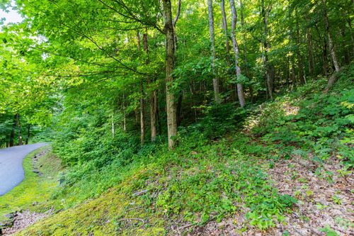 30-Lot 30 Finlaystone Trce, Waynesville, NC, 28786-1734 | Card Image