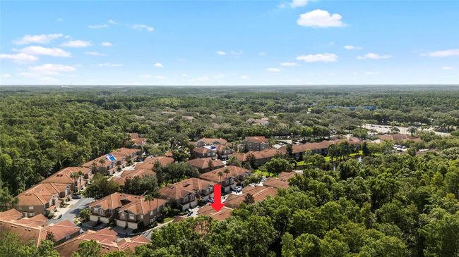 4920 Anniston Cir, Townhouse with 3 bedrooms, 3 bathrooms and null parking in TAMPA FL | Image 44