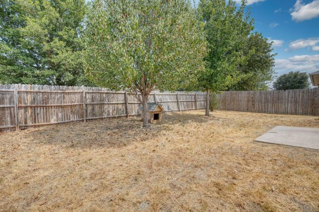 View of fenced backyard | Image 22