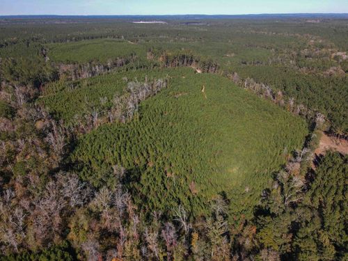 TBD County Dv, Bronson, TX, 75930 | Card Image