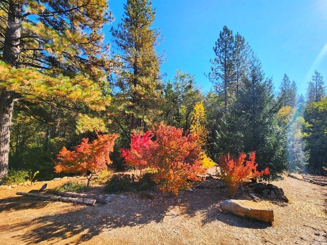 955 Grinding Rock Ct, House other with 3 bedrooms, 2 bathrooms and null parking in West Point CA | Image 77