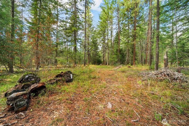 0 S Shugart Flats Rd, Home with 0 bedrooms, 0 bathrooms and null parking in Leavenworth WA | Image 34