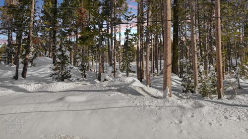 21864 Lotta Crabtree Ter, Soda Springs, CA, 95728 | Card Image