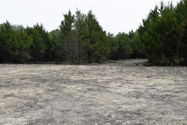 View of local wilderness featuring a wooded view | Image 6