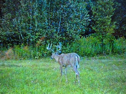 1111 Sheepskin Road, Carroll Plt, ME, 04487 | Card Image