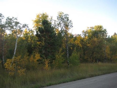 Lot 1 Larkspur Rd, Sturgis, SD, 57785 | Card Image