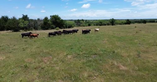 7.5 acres Keyes Road, Sherman, TX, 75092 | Card Image