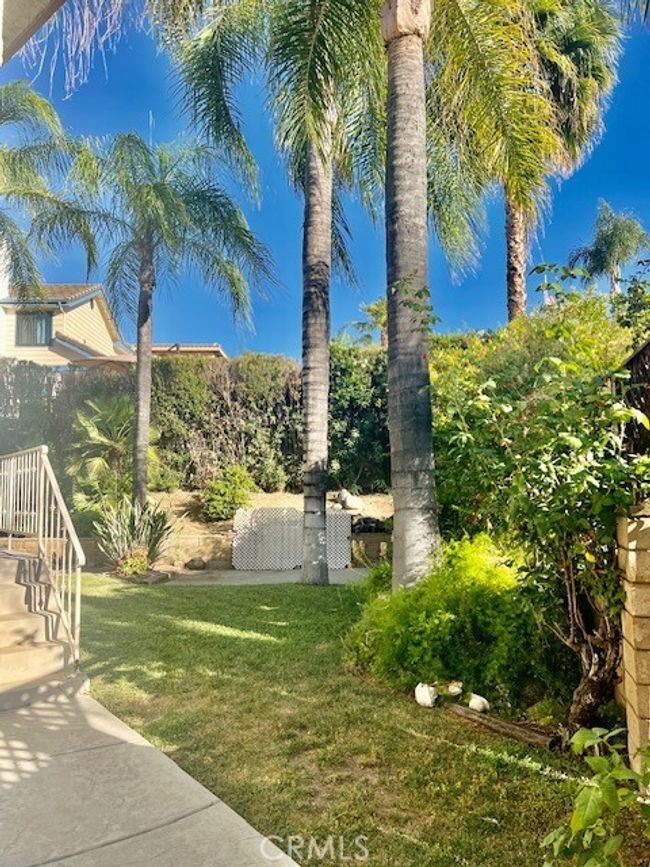 View of same yard from patio | Image 37